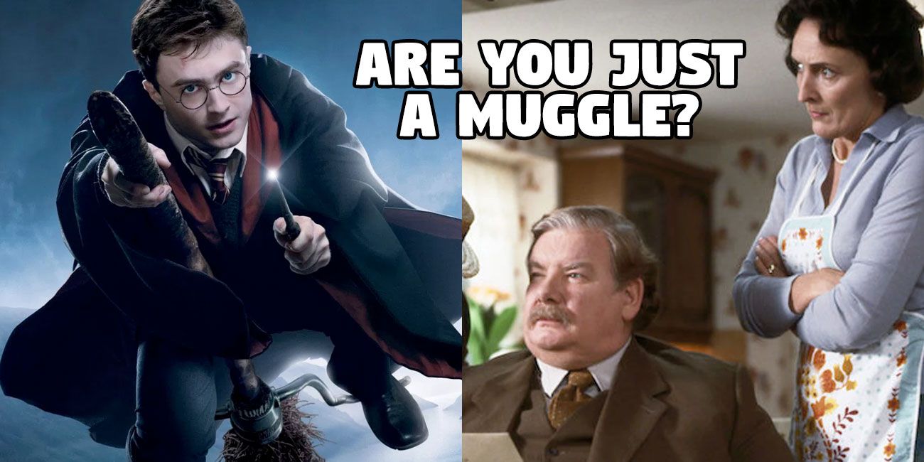 Only A Muggle Would Fail This Harry Potter Quiz | TheQuiz